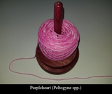 WoolWhirl - CooperWorksBC Knitting Accessories